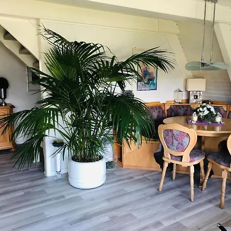 Nurdachhaus In Burhave Mit Garten